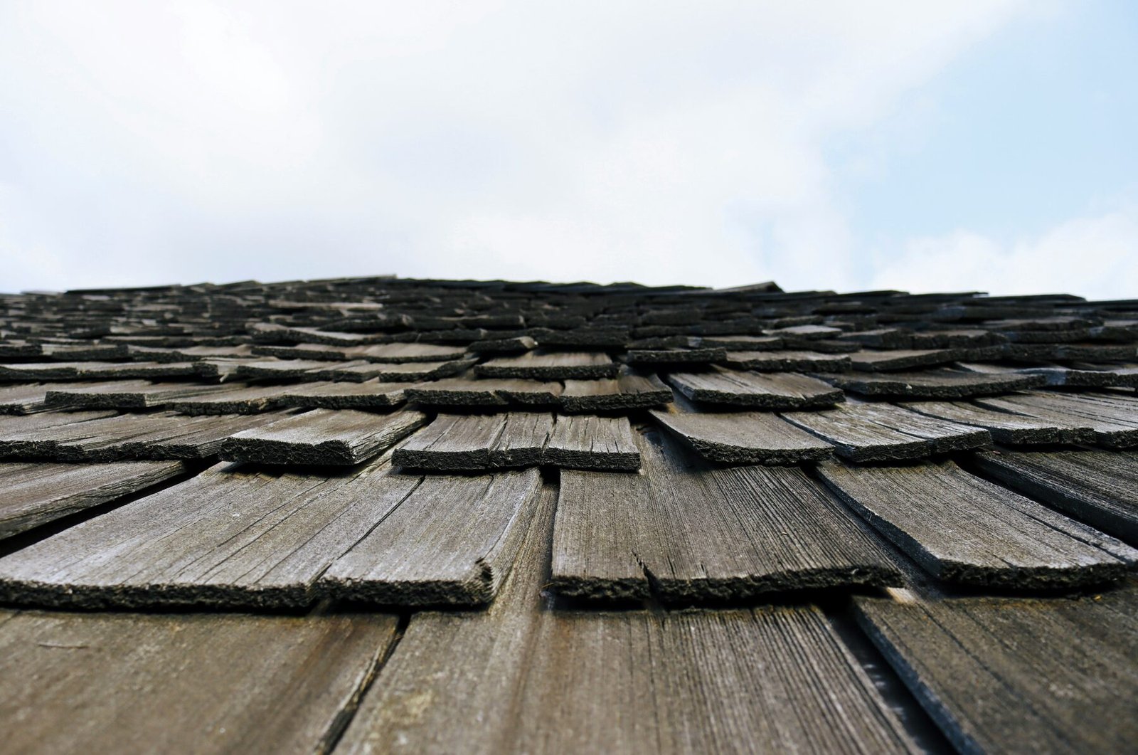 Professional construction and roofing specialists at work